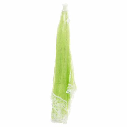17" Pop up Mesh Food Cover